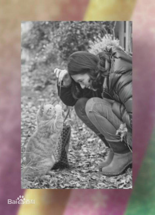 高清小泉今日子(こいずみきょうこ、コイズミキョウコ、Koizumi Kyoko)精彩图册