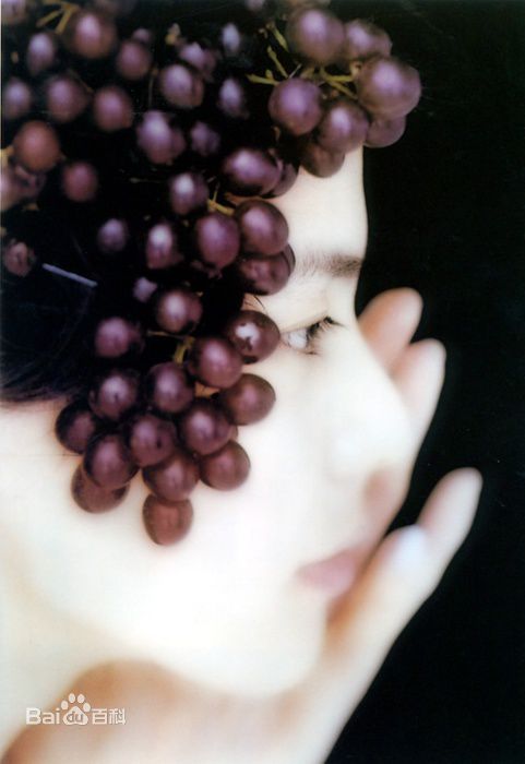 江角真纪子(江角マキコ)最全壁纸