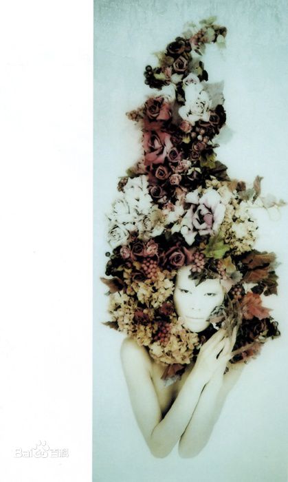 最全江角真纪子(江角マキコ)精彩图册