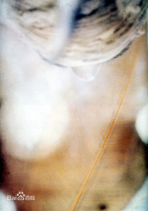 最全江角真纪子(江角マキコ)精彩图册