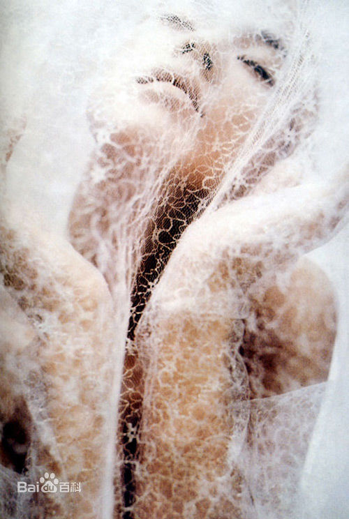 最全江角真纪子(江角マキコ)精彩图册