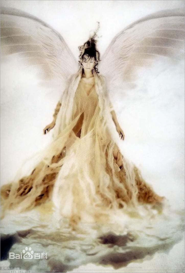 最全江角真纪子(江角マキコ)精彩图册