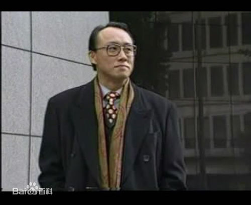 最新江角真纪子(江角マキコ)壁纸