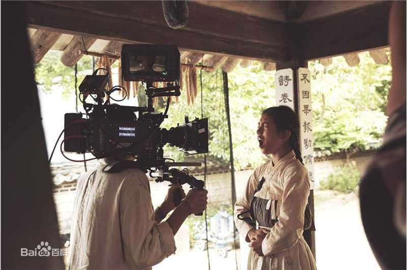 裴秀智((韩)、Suzy Bae(英)、Bae Sue Ji(罗马)、スジ(日))在陈彩仙《桃李花歌》中的