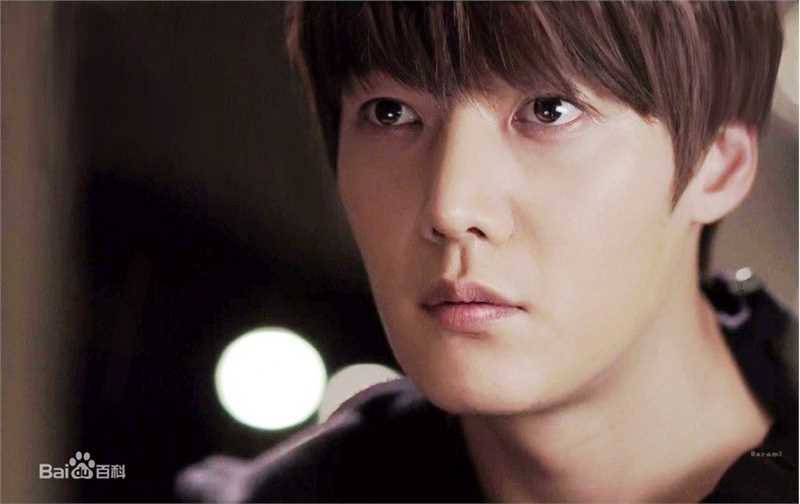 崔振赫（或翻译为崔真赫、崔镇赫）( / Choi Jin Hyuk / Kim Tae Ho)崔振赫作品图册前后照片