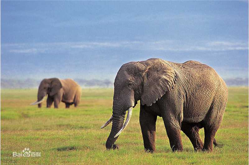 白成铉(Baek Sung Hyun &)前后照片