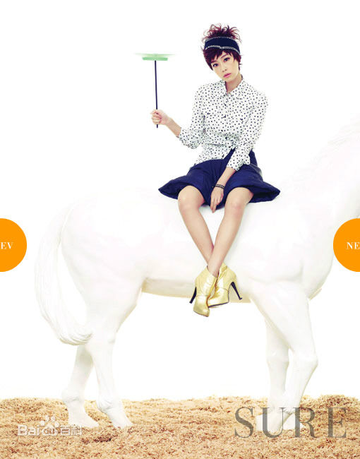 洪洙贤(Hong Soo Hyun、ホンスヒョン)精选精美图册