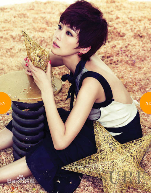 洪洙贤(Hong Soo Hyun、ホンスヒョン)精选精美图册