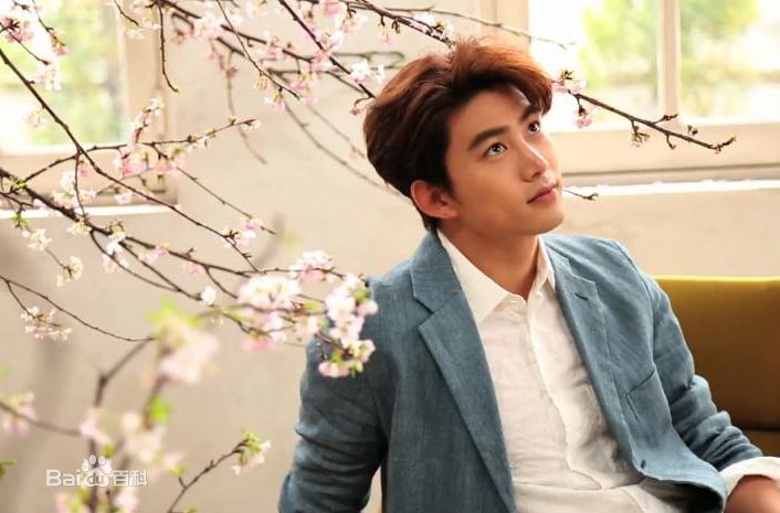 最新玉泽演(，Taecyeon OK，テギョン)性感图片