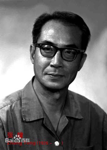 《张瞳》封面图片