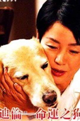 最优质平田满(Mitsuru Hirata)生活照