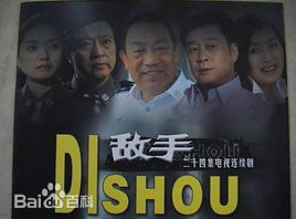 《王乙竹》封面图片