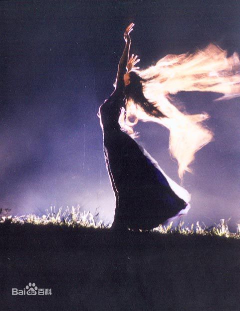 杨丽萍(Yang li Ping)舞蹈素颜照相册