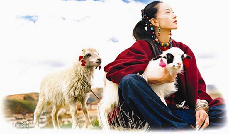 杨丽萍(Yang li Ping)舞蹈素颜照相册