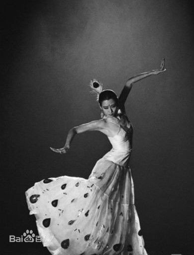 杨丽萍(Yang li Ping)早期照片性感图片图集