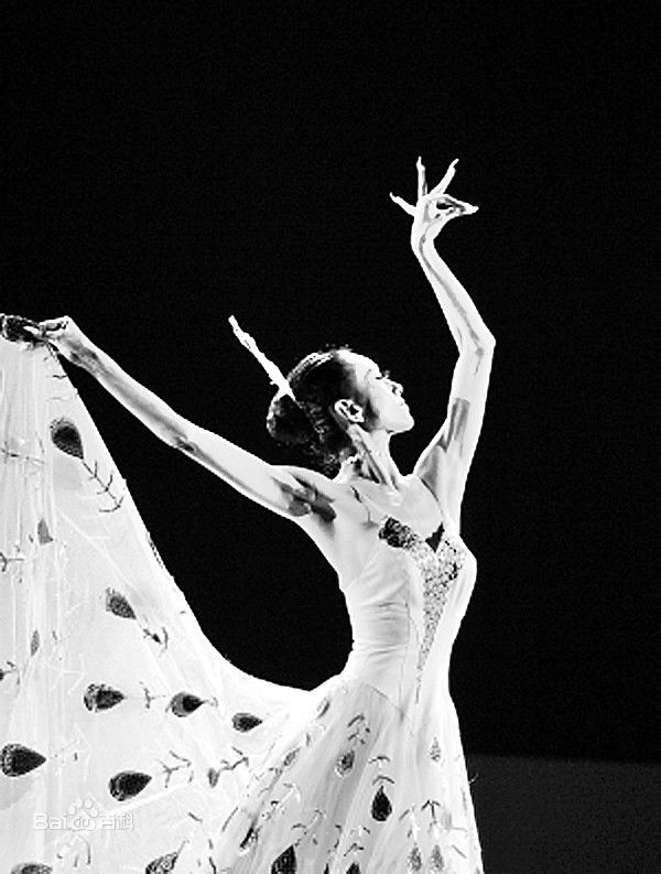 杨丽萍(Yang li Ping)早期照片性感图片图集