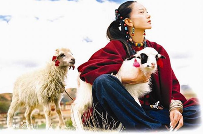 最全杨丽萍(Yang li Ping)壁纸