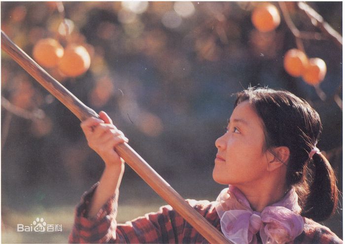 《薛白》封面图片