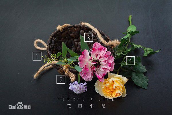 《薛白》封面图片