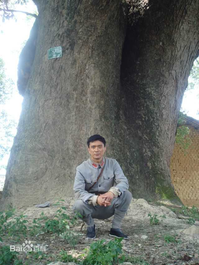 《张明健》精彩图册