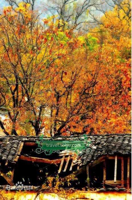 最全朴艺珍(Park Ye Jin)精彩图册