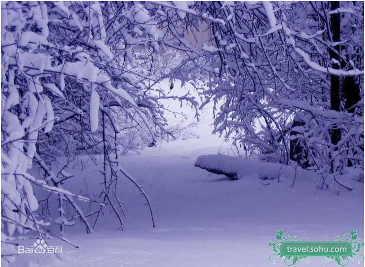 最全朴艺珍(Park Ye Jin)精彩图册