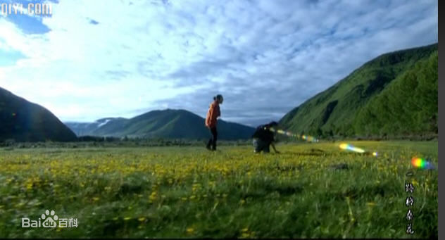 石爻(shiyao)精彩图册