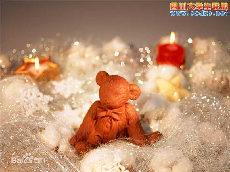 礼物(Gift; Contribution; Donation; Present; Tribute)圣诞节生活照相册