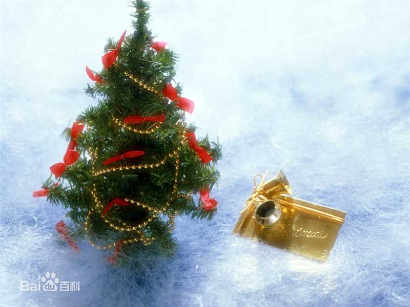 礼物(Gift; Contribution; Donation; Present; Tribute)圣诞节生活照相册