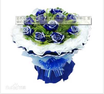 礼物(Gift; Contribution; Donation; Present; Tribute)鲜花图册性感图片壁纸