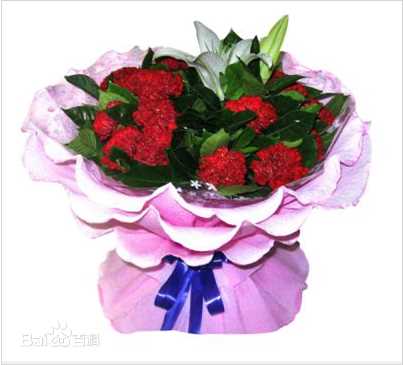 礼物(Gift; Contribution; Donation; Present; Tribute)鲜花图册性感图片壁纸