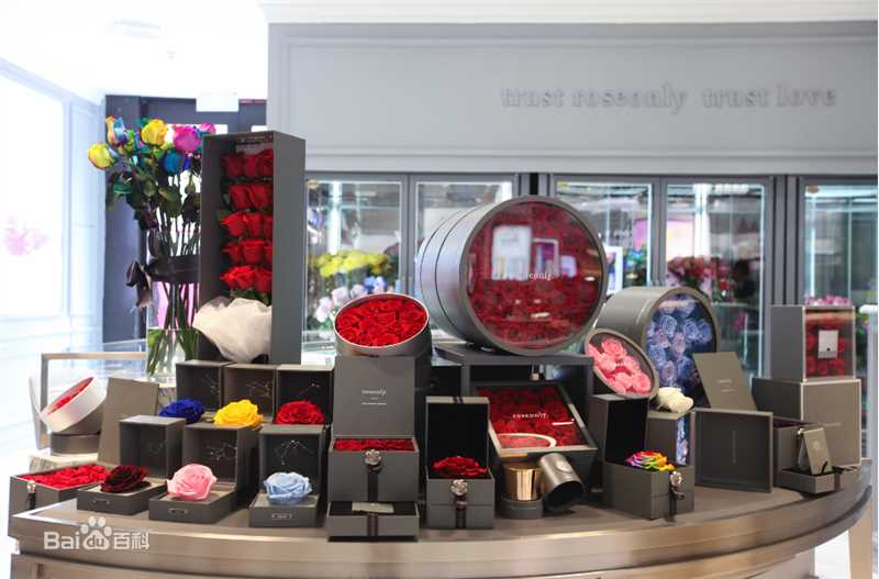 精选礼物(Gift; Contribution; Donation; Present; Tribute)