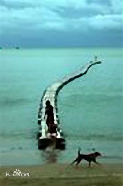 高清林秀晶()图片