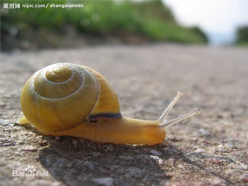 全度妍(，Jeon Do-Youn)前后照片
