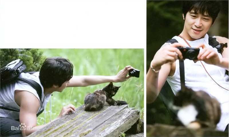 最优质姜至奂()精彩图册