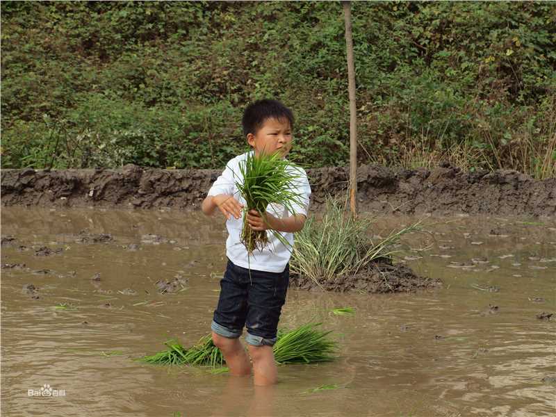 精选林浩(Linhao)