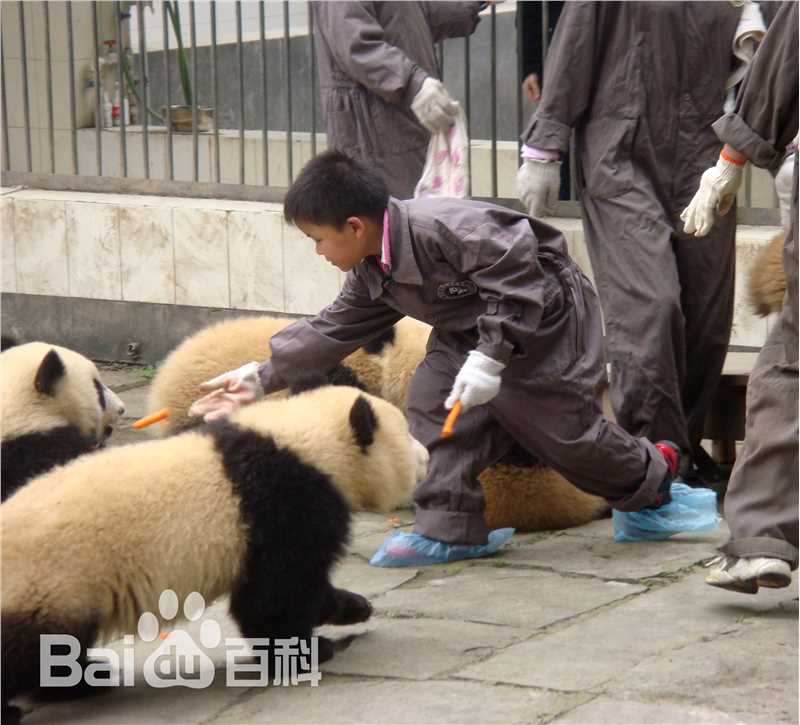 精选林浩(Linhao)