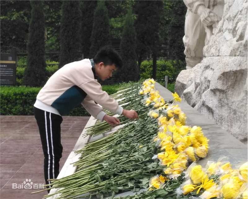 林浩(Linhao)11年，坚守初心图片图册