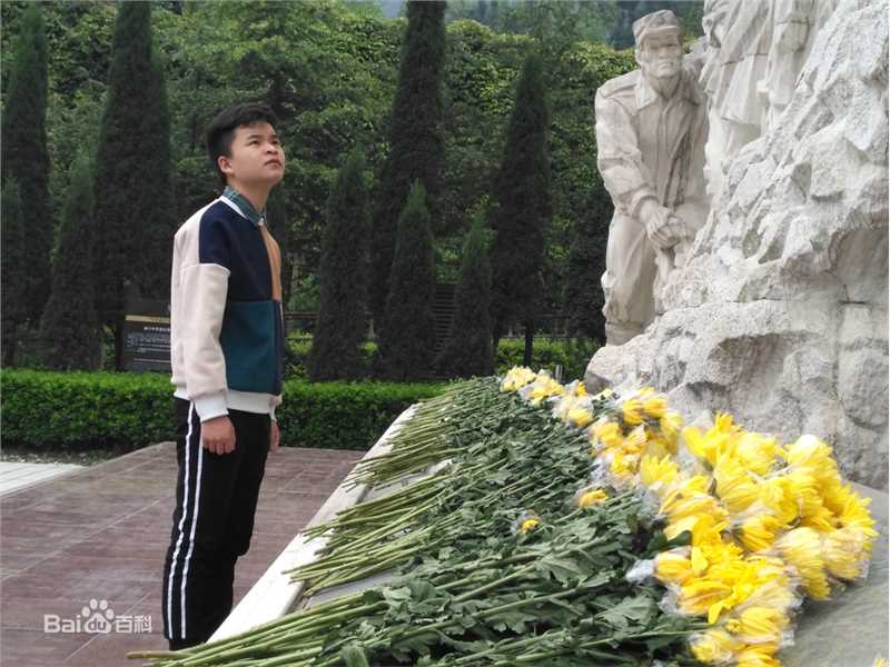 林浩(Linhao)11年，坚守初心图片图册