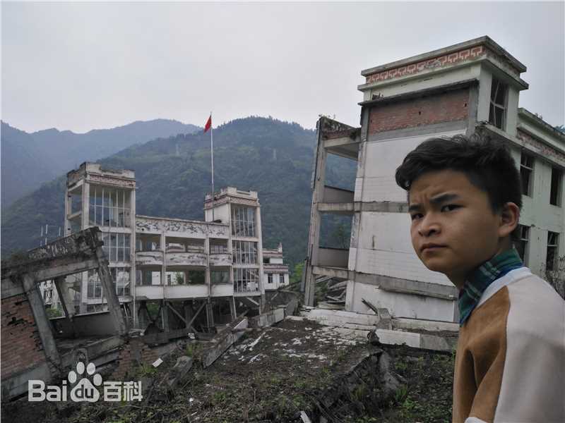 林浩(Linhao)11年，坚守初心图片图册