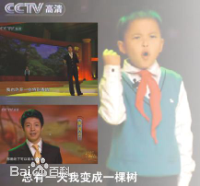 最全林浩(Linhao)壁纸