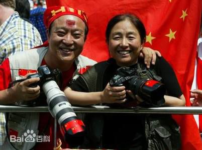 《牛群》封面图片