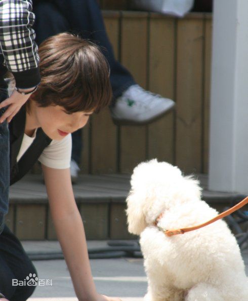 聂杰铭(James Robert Nicol)生活中的照片壁纸壁纸