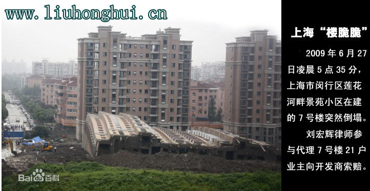 《刘宏辉》封面图片