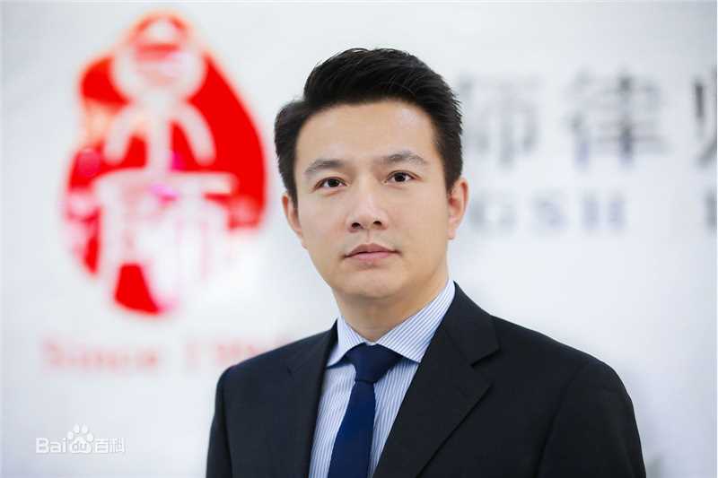 《刘宏辉》封面图片