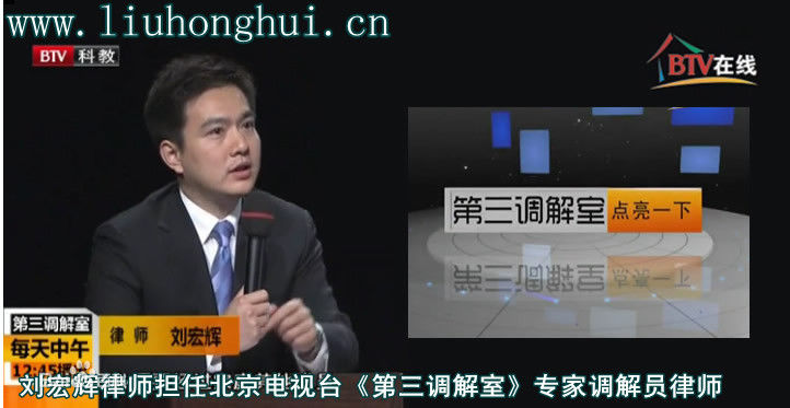 《刘宏辉》封面图片