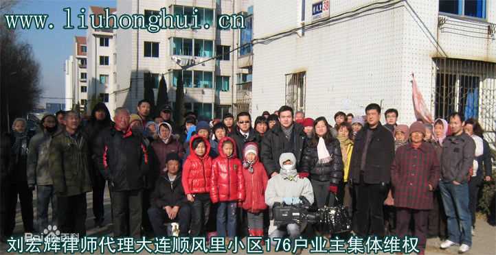 《刘宏辉》封面图片