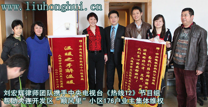 《刘宏辉》封面图片