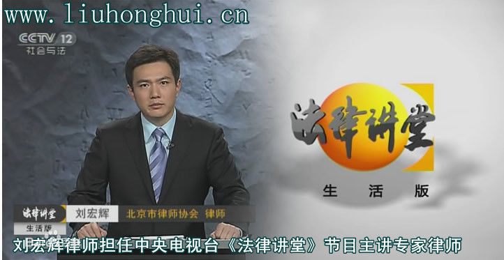 《刘宏辉》封面图片