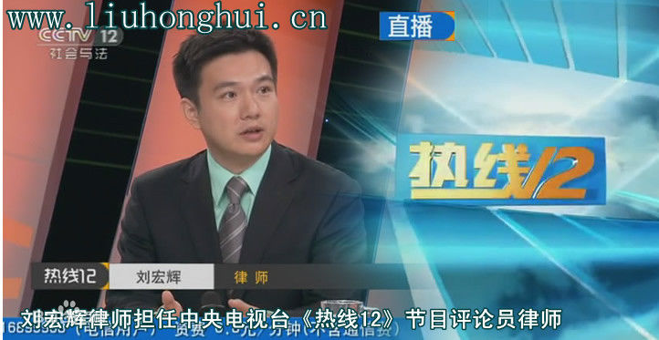 《刘宏辉》封面图片